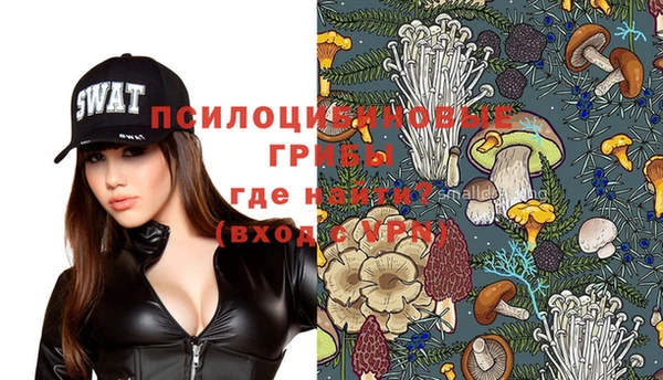 прущая мука Абаза