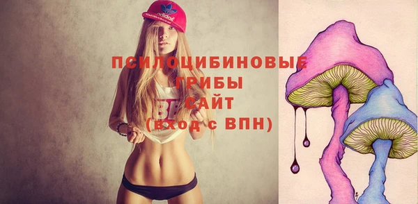 прущая мука Абаза